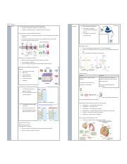 MCB 32L Final Review Pdf MCB 32L Final Review Lab 1 Diffusion All Our