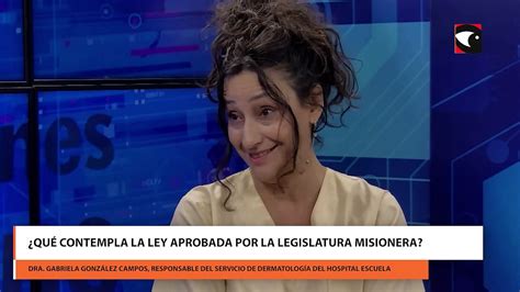 Dermatitis At Pica Qu Contempla La Ley Aprobada Por La Legislatura