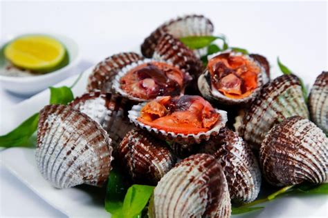 Blood Clam AGROVIET