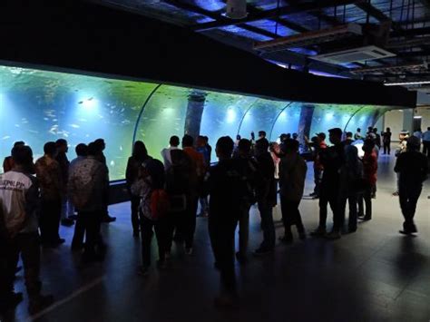 Aquarium Indonesia Pangandaran Berikut Harga Tiket Masuknya