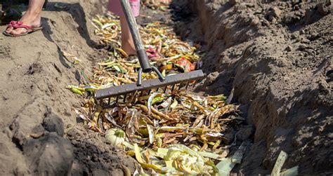 Composting In A Greenhouse A Hot Combination