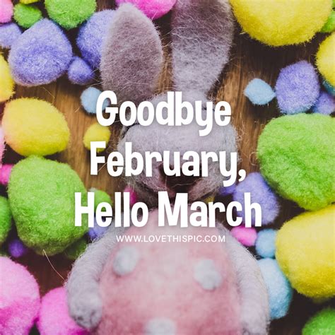 Felt Rabbit And Eggs Goodbye February Hello March Pictures Photos