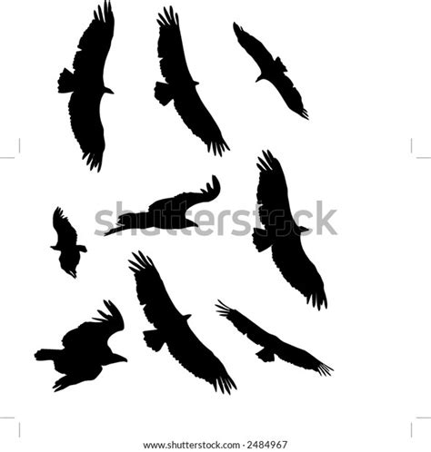 Vector Vulture Silhouette Stock Vector (Royalty Free) 2484967