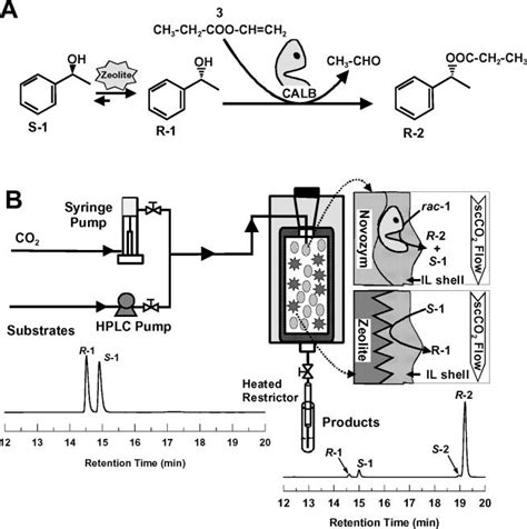 A Dkr Of Rac Phenylethanol Rac Catalyzed By The Combined Action