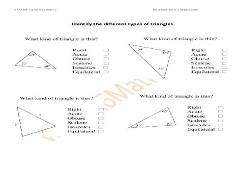 Identify Different Types Of Triangles Worksheet For 5th 6th Grade