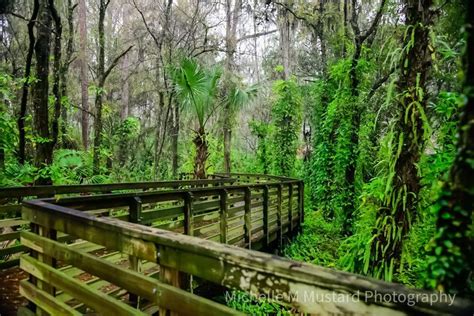 Peace And Tranquility Is Experienced Walking The Boardwalk At Eureka