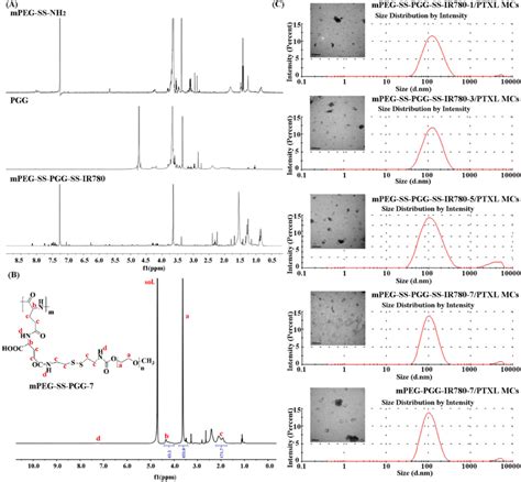 A 1 H NMR Spectra Of MPEG SS NH 2 In CDCl 3 PGG In D 2 O And