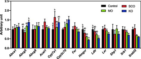 Liver Mrna Expression Levels Of Genes Involved In Cholesterol Download Scientific Diagram