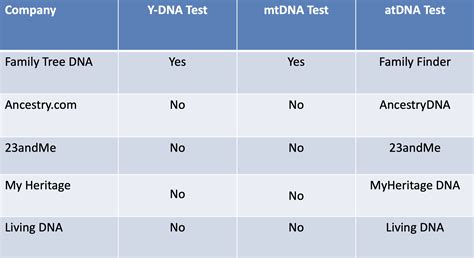 The Best DNA Testing Companies