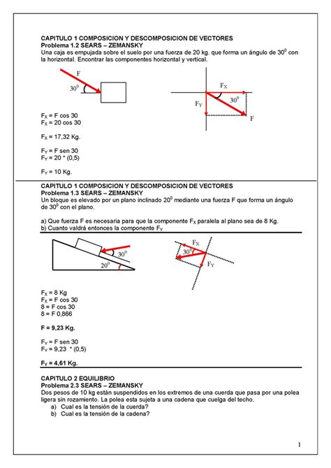 Problemas Resueltos De La Fisica De Sears Zemansky
