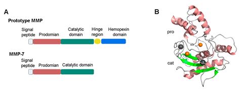 Frontiers Current Concepts Of Biliary Atresia And Matrix 48 OFF