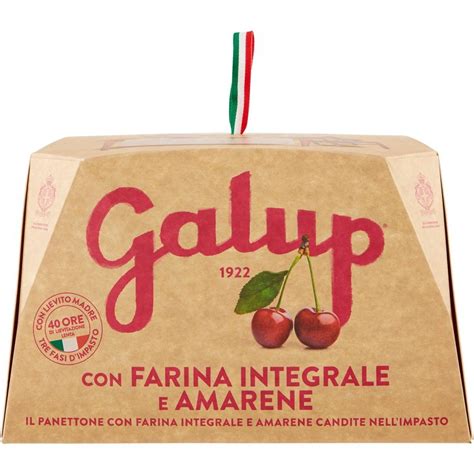 Panettone Integrale Con Amarene Galup G Coop Shop