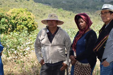 FAO Colombia On Twitter Hoy En Ovejas Sucre El MinAgricultura