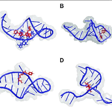 Molecular Docking Of Cid210332 Hsa Mir 3131 Cid444732