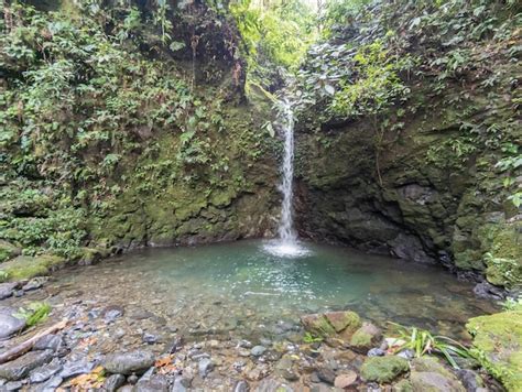 Premium Photo | Waterfalls in the national park of santa fe in panama