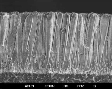 Micrograph Of A Eb Pvd Tbc Section Illustrating The Columnar