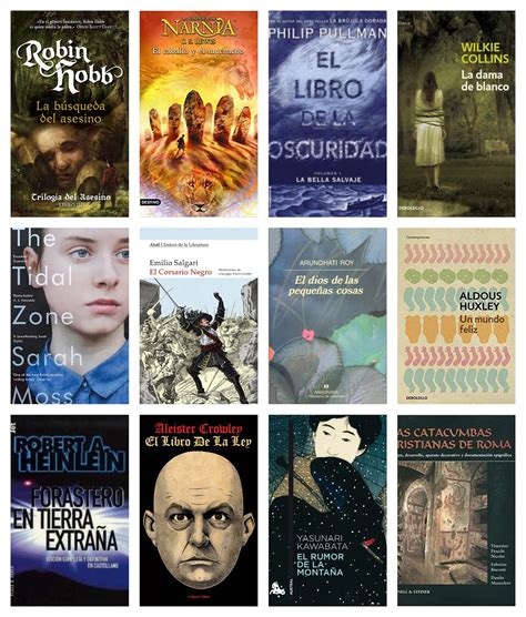 Los Libros Del Desv N Mis Prop Sitos Literarios Para