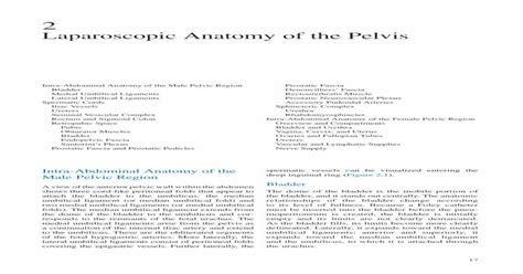 Laparoscopic Anatomy Of The Pelvis Pdf Document