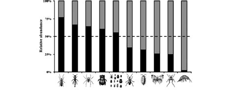 Proportion Of Total Arthropod Individuals Collected In Disturbed Grey