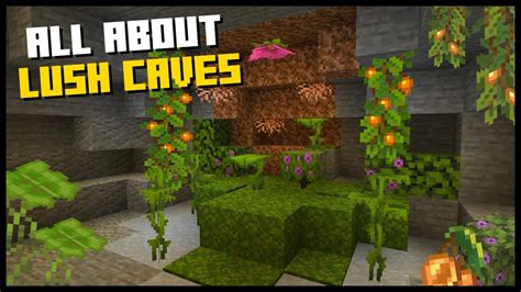 How To Find Lush Caves In Minecraft Full Lush Caves Guide Caves