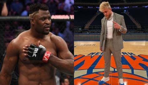 Francis Ngannou Throws His Support Behind Jake Paul Im Percent