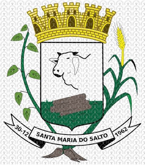 Brasão e Bandeira do Município de Santa Maria do Salto MG mbi br