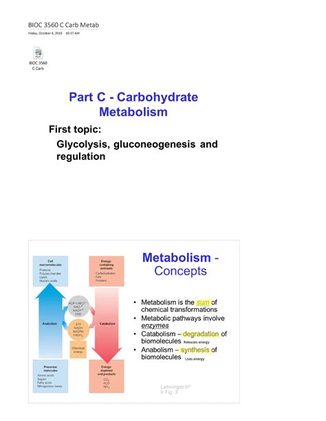 Bioc 3560 C Study Notes Included Warning Tt Undefined Function