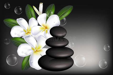 O Plumeria Withzen a Pedra No Fundo Dos Termas Ilustração do Vetor