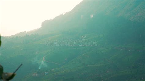 Aerial View of Munnar Tea Plantations, Kerala, South India 4K Video ...