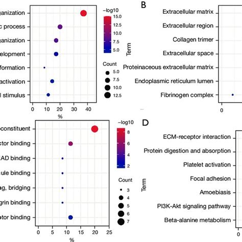 Gene Enrichment Analysis Of Degs A Biological Process B Cellular Download Scientific