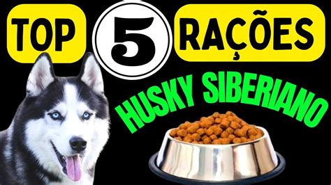 Ração Para Husky Siberiano - TOP 5 MELHORES RAÇÕES PARA HUSKY SIBERIANO! Só as melhores rações ...