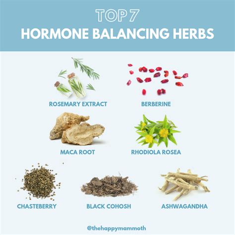 The Top 7 Hormone Balancing Herbs For Women Fast Acting Artofit