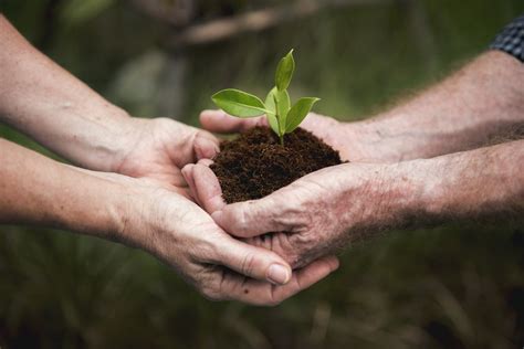 10 Consejos Para Que Tu Empresa Sea Más Sostenible Protegiendo Personas