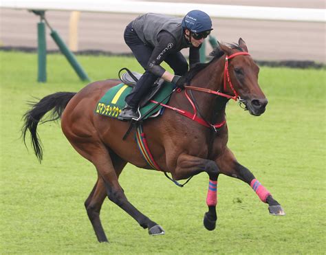 【安田記念】ロマンチックウォリアー貫禄デモ 香港の王者4馬身先着 シャム師自信たっぷり「とてもいい状態」 競馬ニュース Netkeiba