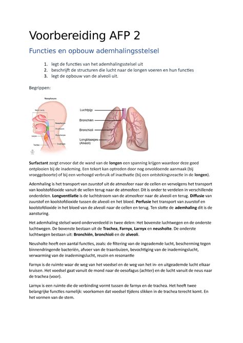 Voorbereiding Afp Samenvatting Van De Ademhalingsstelsel