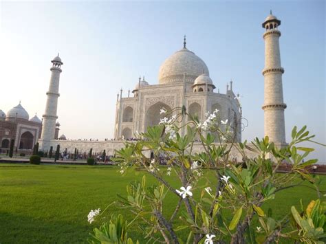 From Delhi Taj Mahal Sunrise And Agra Fort Private Tour