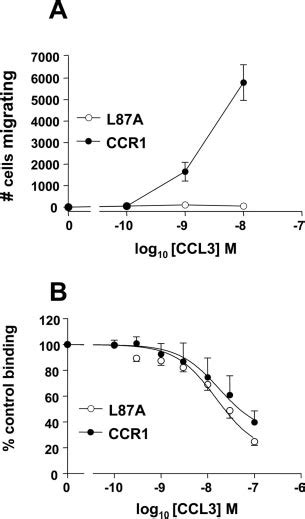 Leu 87 Is Essential For Ccr1 Mediated Chemotaxis But Dispensable For