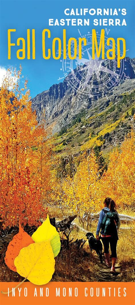 Reluctant Aspen in Mono County – California Fall Color