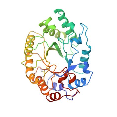 Rcsb Pdb Tux High Resolution Crystal Structure Of A Thermostable