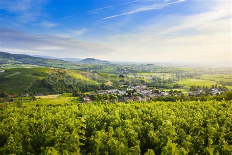 Photos Vignes Le Mont Brouilly Et Le Village De Salles Arbuissonnas