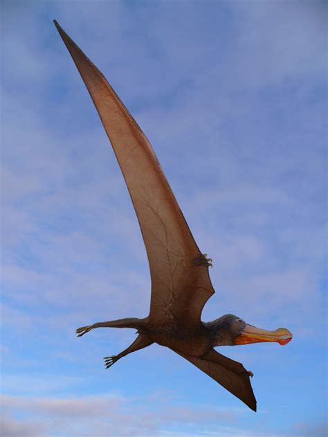 Ornithocheirus Pictures & Facts - The Dinosaur Database