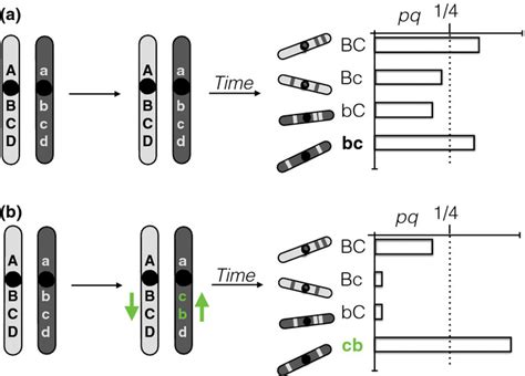 The Origins Of Reproductive Isolation In Plants Baack 2015 New Phytologist Wiley Online