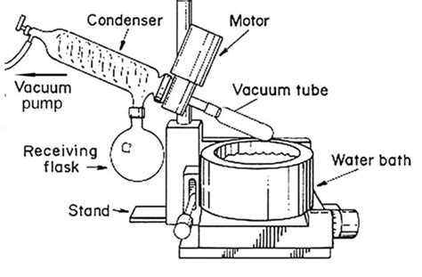 What Is A Rotary Evaporator?, 45% OFF | www.elevate.in