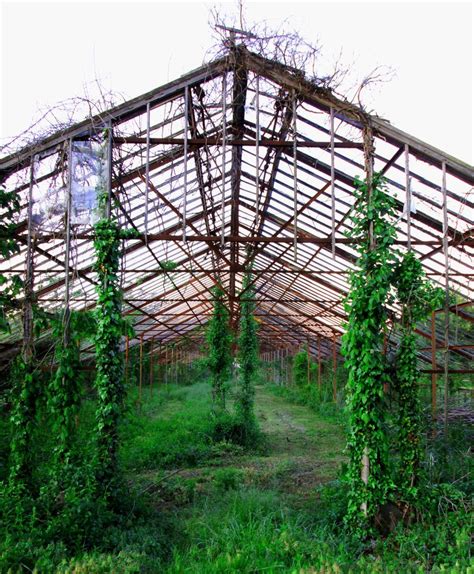 Abandoned Places Greenhouse Traditional Greenhouses