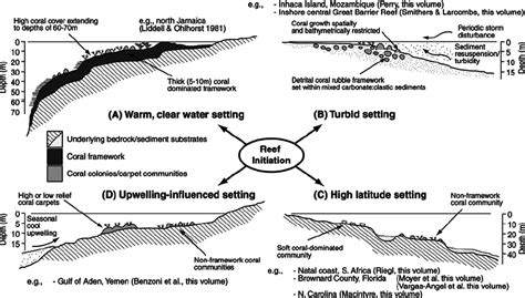 Schematic Diagram Illustrating The Character Of The Coral Communities Download Scientific