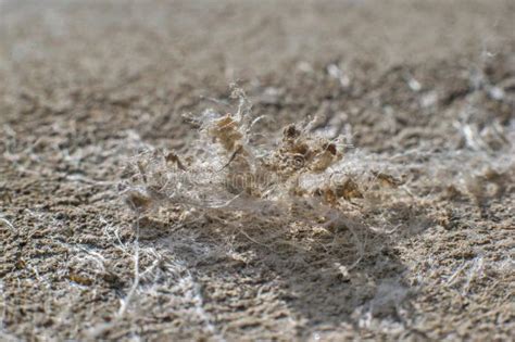 Detailed Photography Of Roof Covering Material With Asbestos Fibres