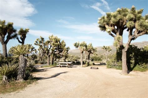 A Guide to Joshua Tree Campgrounds - Nattie on the Road