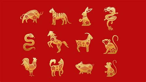 Chinese New Year 2022: What's your spirit animal of the year?