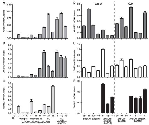 Relative Expression Levels Of AhSCR13 AhSRK13 AhARC1 BnSCR1 BnSRK1