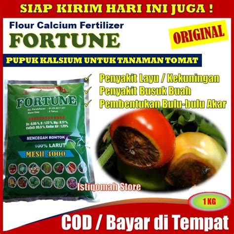 Fortune Kg Pupuk Kalsium Obat Pencegah Penyakit Busuk Buah Pada